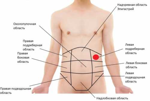 Чтобы понять, что болит, надо знать, какие органы располагаются в данной области тела