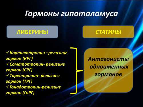 Гормоны гипоталамуса Гормоны гипоталамуса