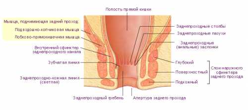 Препараты и хирургия