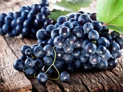 Темный виноград способствует лечению плеврита, туберкулеза легких, бронхита, поскольку является отличным отхаркивающим средством
