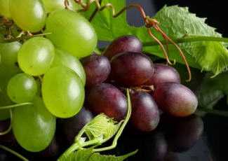 Виноград полезен при различных заболеваниях