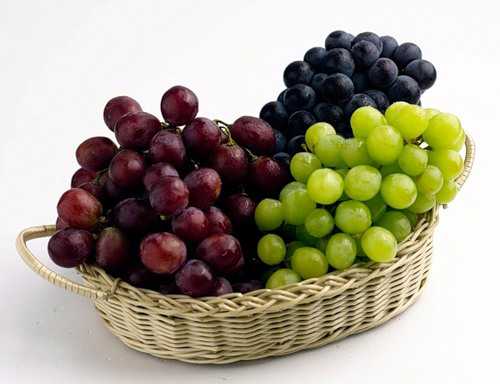 Виноград является общеукрепляющим средством для организма человека