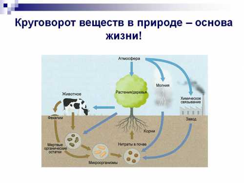 Как ребенок повлияет на судьбу героев