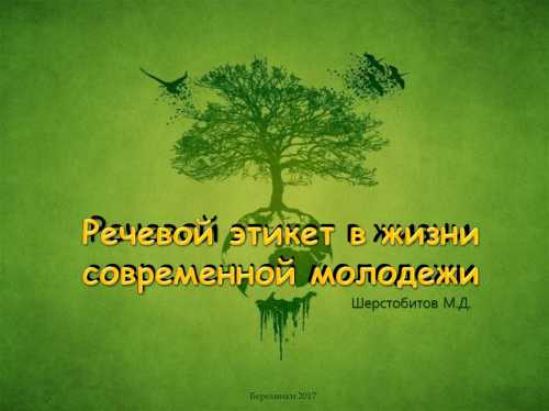 Речевой этикет современной молодежи в интернете